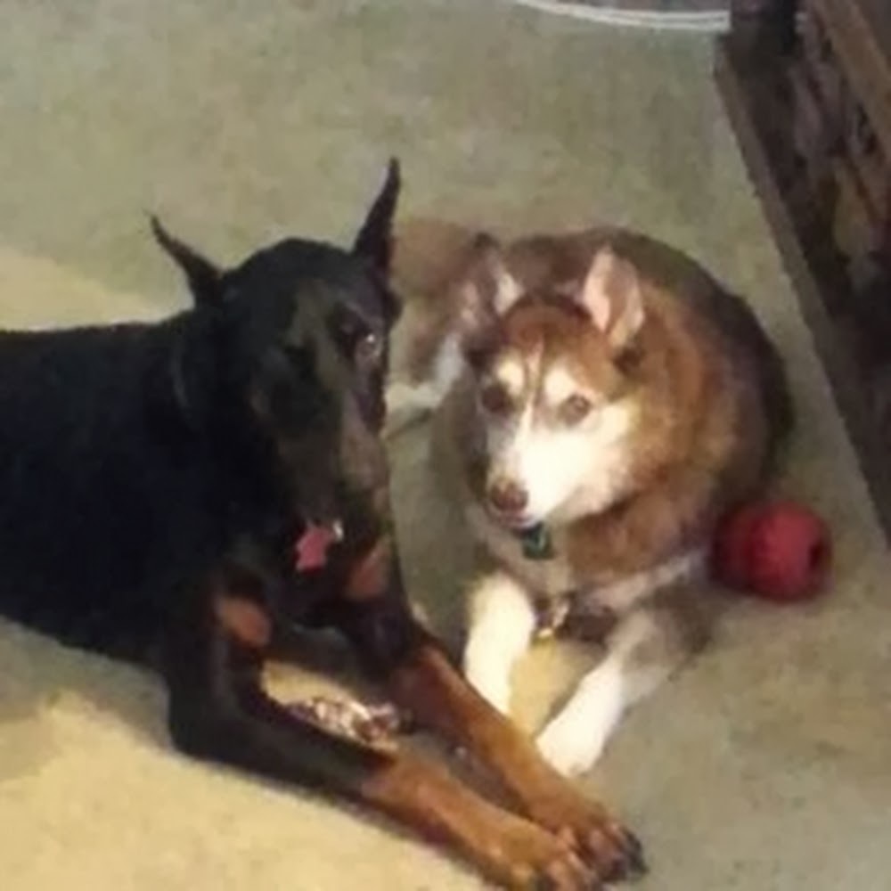 Meet your Posher, Kara